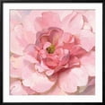 thumbnail image 2 of Art.com Blushing Peony Art Print by Danhui Nai, Black Frame Wall Art, 29" x 29", 2 of 5