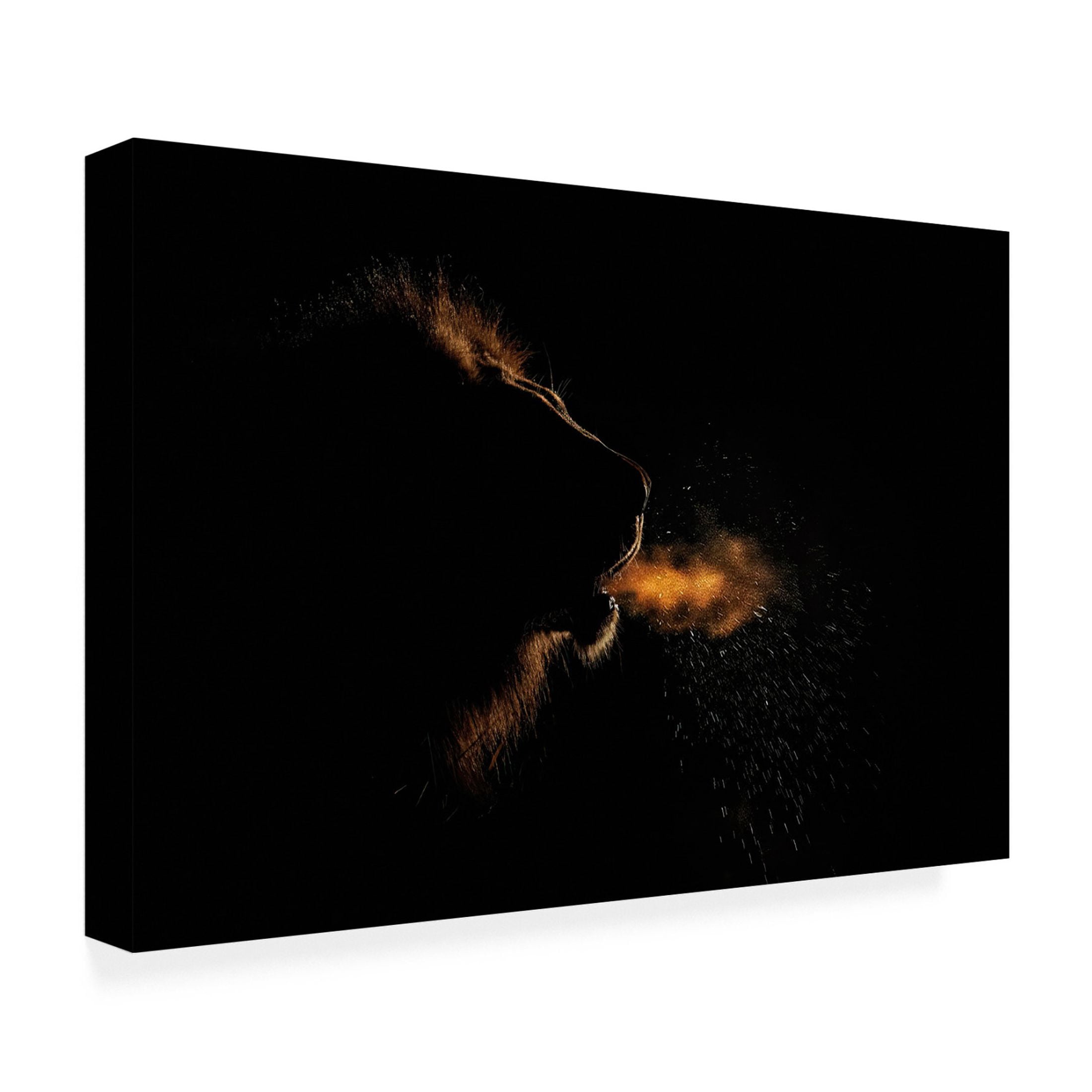 Trademark Fine Art Alessandro Catta  Breath of a King Canvas Wall Art