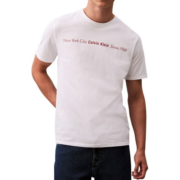 Calvin Klein Men's New York City Since 1968 T-Shirt - 40EM860 (Brilliant White 110, L)