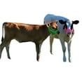 thumbnail image 2 of Cattle Halter Newborn Calf Yearling Cow Bull (Newborn, Red), 2 of 4