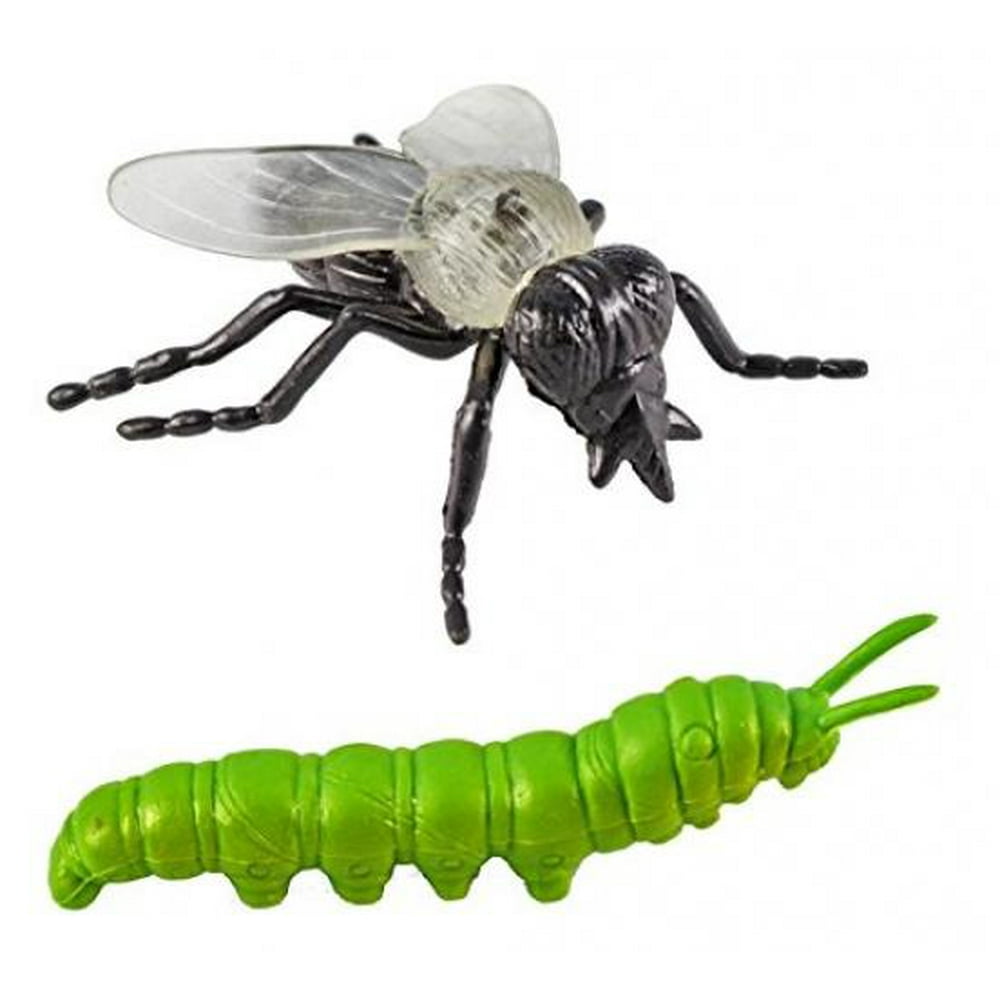 toobs insects