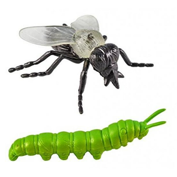 toob bugs