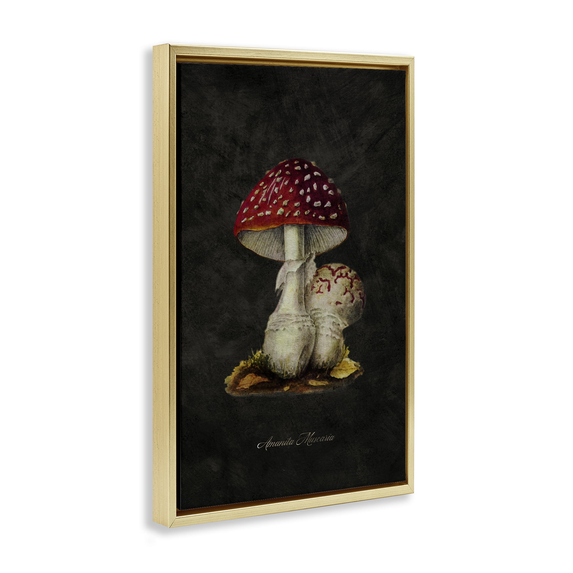 Stupell Industries Rustic Mushroom Pair Plants & Flowers Painting Gold Floater Framed Canvas Art Print Wall Art, 17 x 25