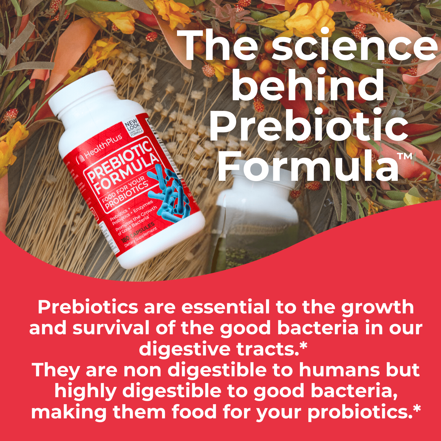 Health Plus Prebiotic Formula, 180 Capsules, 60 Servings