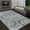Smoke, variant on Allstar Contemporary Accent Rug with Intersecting Ring design Smoke 5' x 8' 5' x 8'