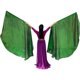 thumbnail image 1 of Xihbxyly Banderas de Alabanza y Adoración, Diseño Reflectante Brillante, Poliéster Suave, Juego de Accesorios de Baile, Ideal para Presentaciones, Desfiles y Festivales, Apto para Todas Las Edades, d, 1 of 1