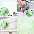 thumbnail image 2 of MOVTOTOP Clear Hamster Exercise Ball Dwarf Hamster Running Ball Funny Animal Exercise Supply, 2 of 6