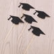 thumbnail image 5 of FELTECHELECTR 10 adornos para tartas de graduación, certificados de graduación, letreros para decoración de fiestas., 5 of 6