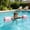 Pink, variant on EVA Foam Dumbbell Set for Water Aerobics, Detachable Floating Barbell with Locking Buckles, Adult Pool Fitness Equipment for Swimming Training, 13.38 Inch Lightweight Buoyant Exercise Gear