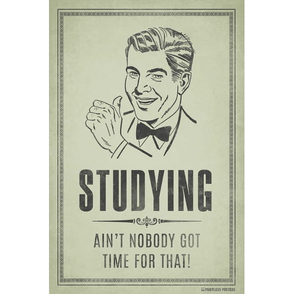 Studying...Ain't Nobody Got Time For That Poster