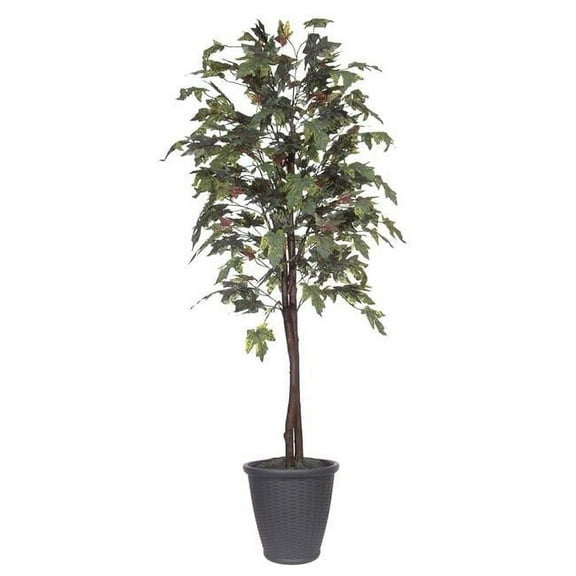 Vickerman 701805 - 6' Frosted Maple tree Round Gray Cont (TEC1760-RG) Ficus Home Office Tree