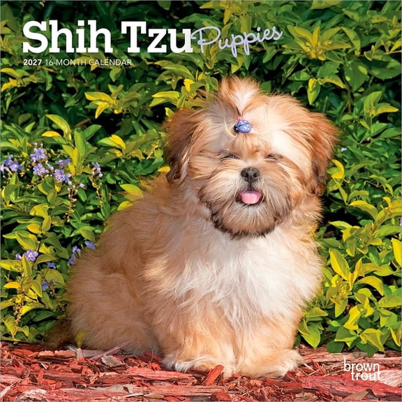 Shih Tzu Puppies | 2027 7x14" (Hanging) Mini Wall Calendar