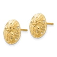 thumbnail image 2 of Primal Gold 14K Yellow Gold Sand Dollar Post Earrings, 2 of 4