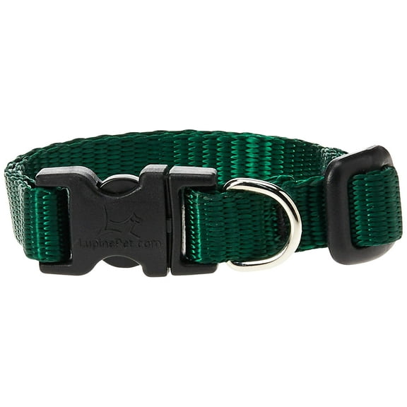 LupinePet Basics 1/2" Green 8-12" Adjustable Collar for Small Dogs