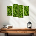 thumbnail image 2 of Elephant Stock Green Reindeer Moss Wall Art - Horizontal Multi Panel Canvas - Living Room Wall Decor - Floral And Botanical Multi Panel - Green And Decor - 24" x 14", 2 of 4