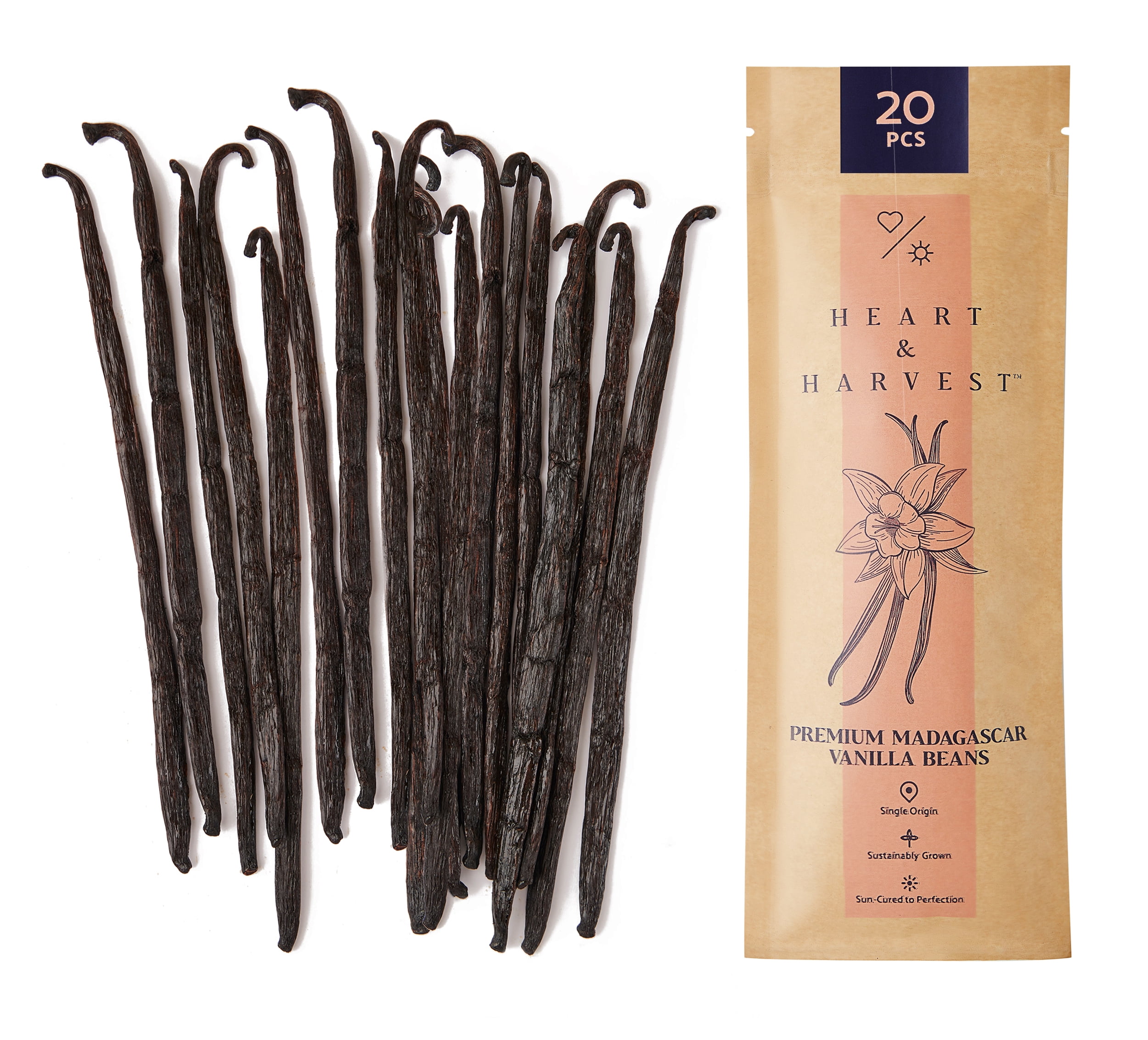 Grade A Madagascar Vanilla Beans Pods Extract 20 Algeria Ubuy