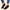 Black, variant on Babysbule Boots for Women Winter Women Mid Heel Shoes Winter Warm Leopard Fashion Side Zipper Pointed Toe Casual Solid Color