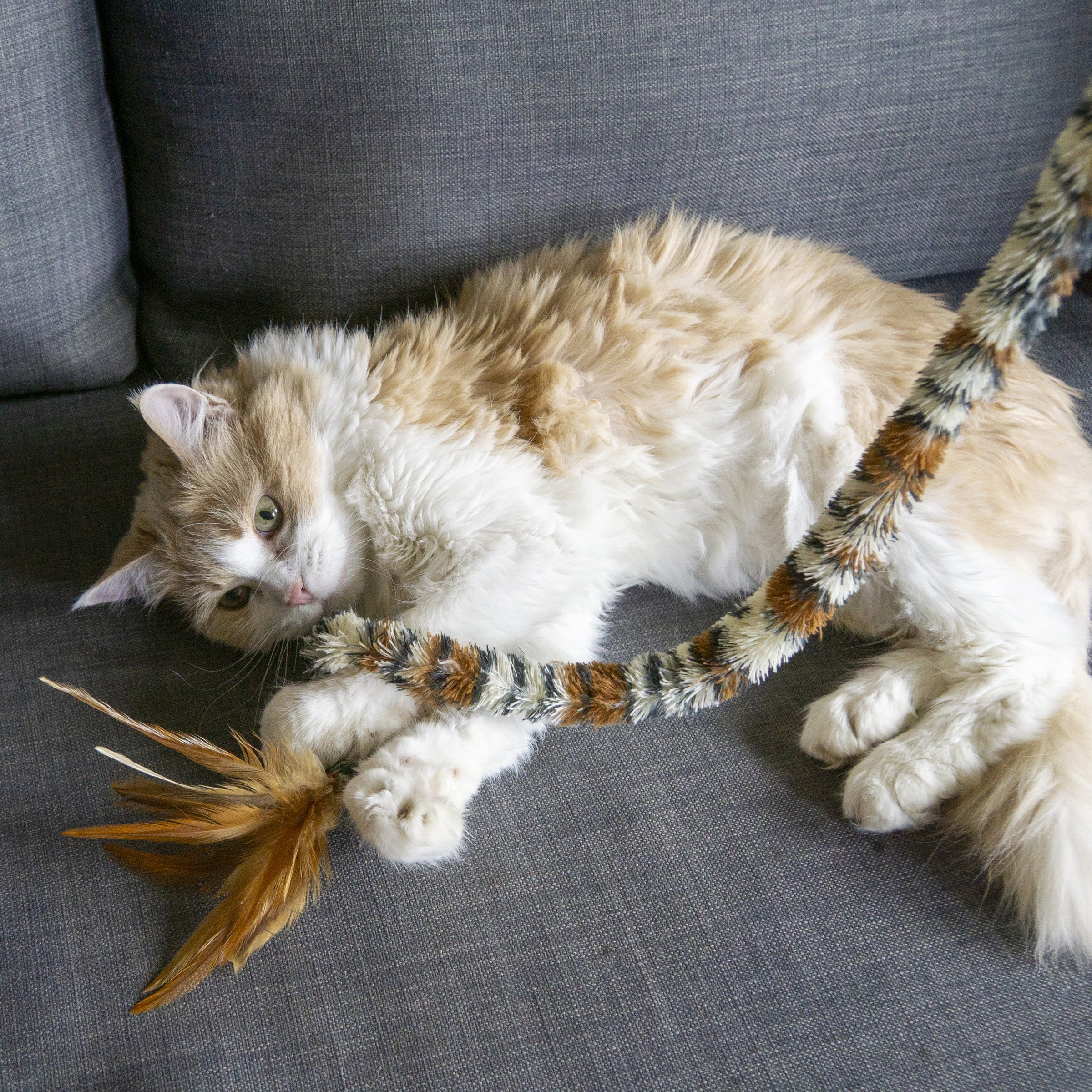 KONG Teaser Swizzle Bird Interactive Cat Toy