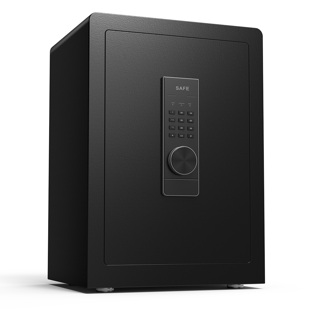 Security Safe Box, SESSLIFE Deluxe Digital Safes and Lockboxes, Wall