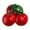 Cherry, variant on Resin Fruit Fridge Magnet Cute 3D Decorative Refrigerator Magnet Kitchen Locker Magnet for Whiteboards and Home Decor