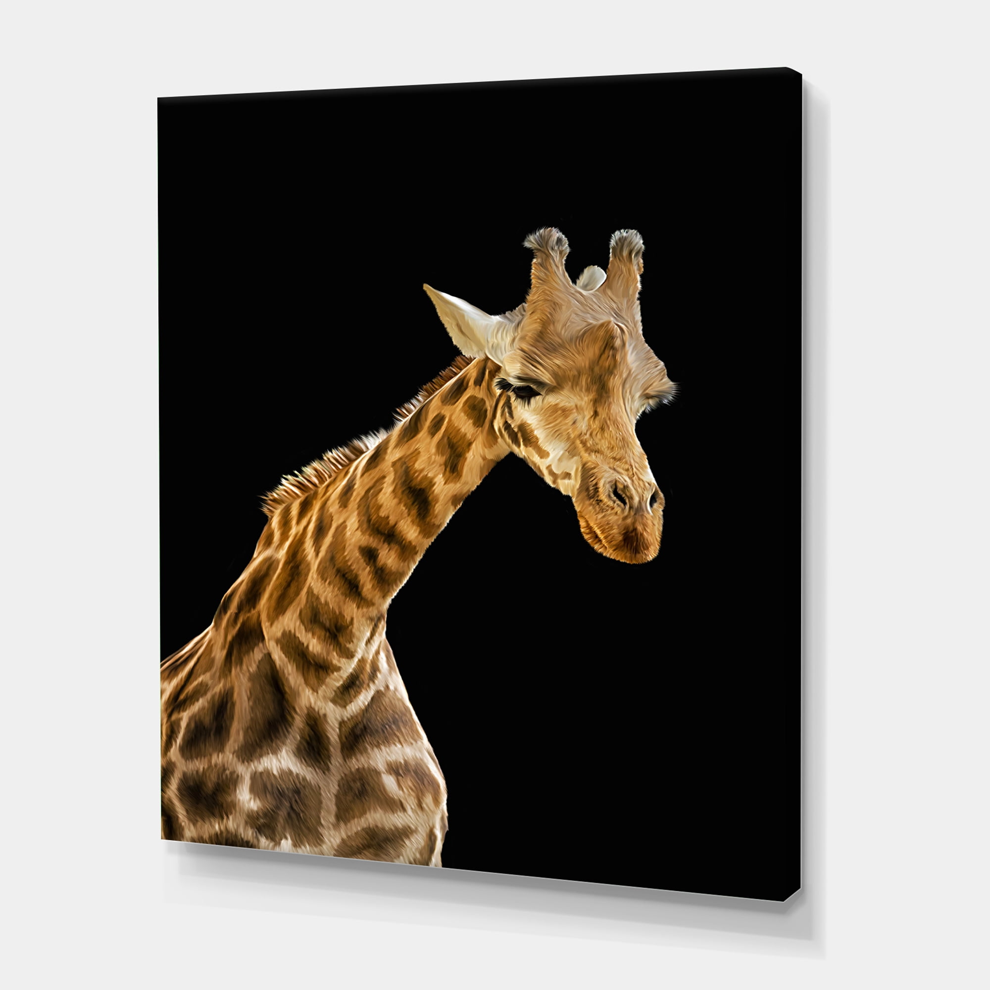 Designart ' Portrait of A Giraffe On Black Background II ' Farmhouse Canvas Wall Art Print