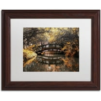 Trademark Fine Art "Dream Fall" Canvas Art by Philippe Hugonnard, White Matte, Wood Frame