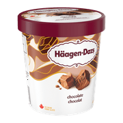 HÄAGEN-DAZS Chocolate Ice Cream 450 ml