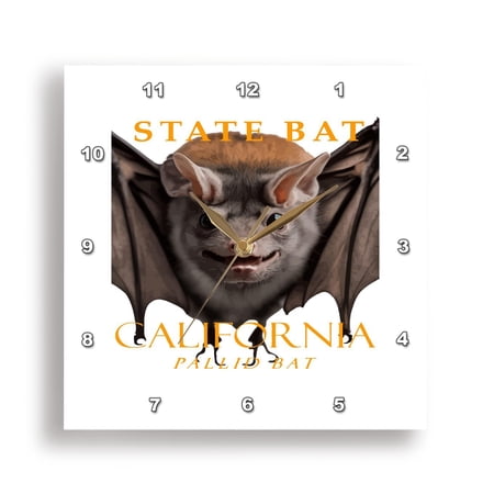 3drose, California Territory Bat the Pallid Bat, 10x10 Wall Clock