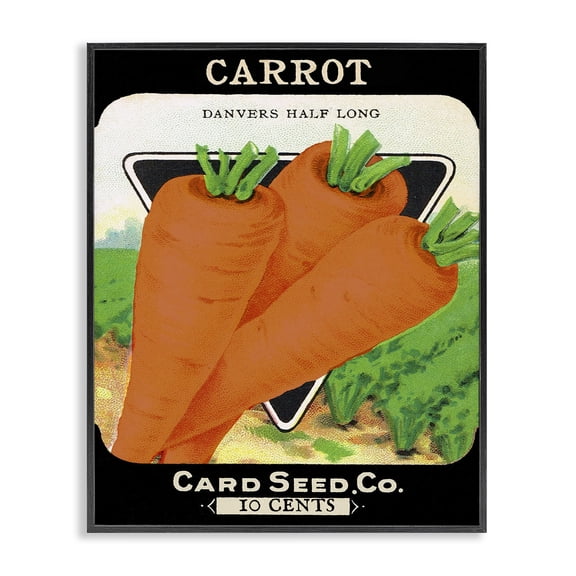 Stupell Industries Vintage Garden Carrots Food & Beverage Painting Black Framed Art Print Wall Art, 11 x 14