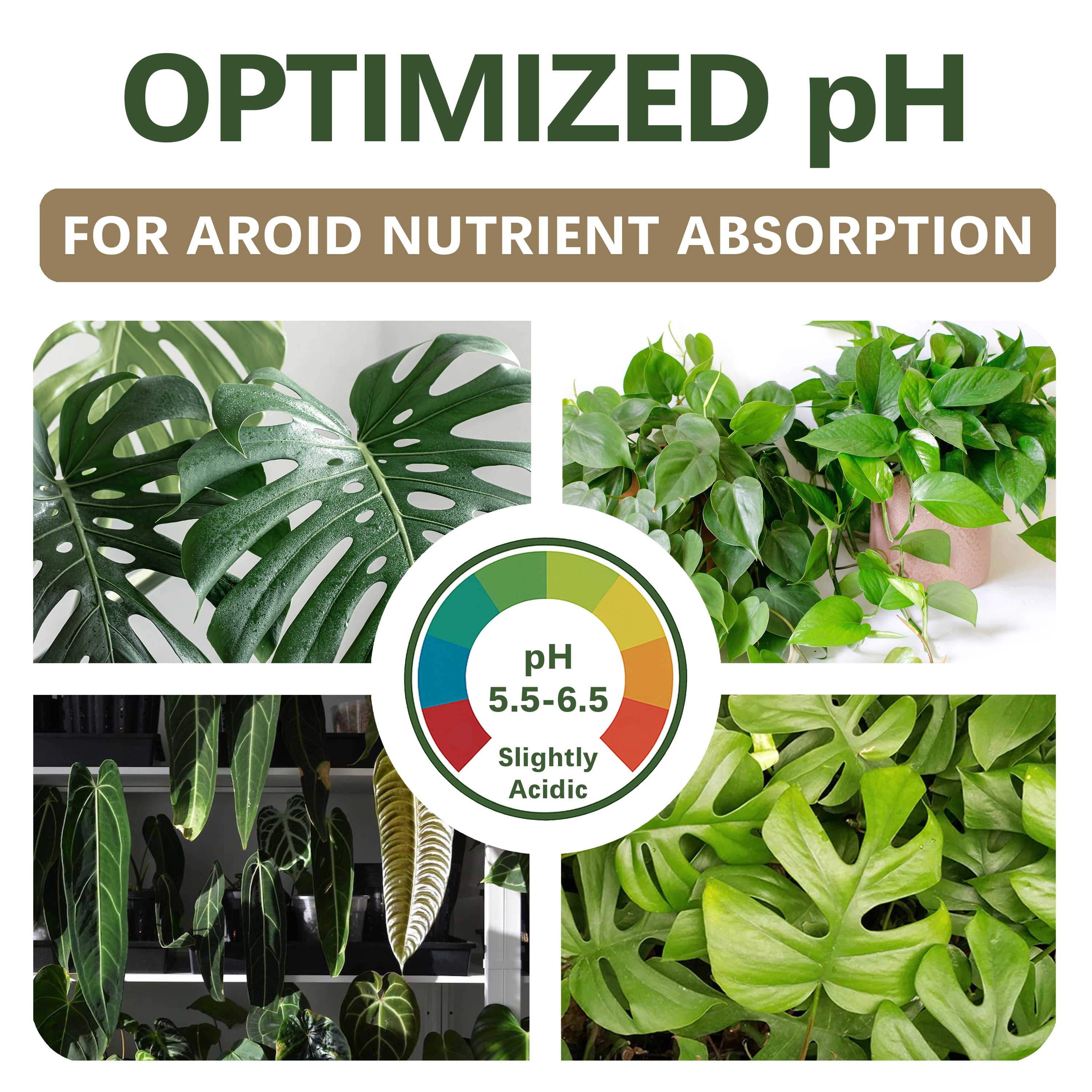 AROID Potting Mix/Premium Soil for Monstera, Philodendron, Alocasia, Anthurium – Chunky, Optimally Aerated Soil – Organic & Ready to Use – Supercharges Root and Foliage Growth (4 QTS)
