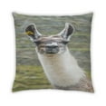 thumbnail image 2 of Ahgly Company Animals Llama Coussin Extérieur, 18 Pouces par 18 Pouces, 2 of 6