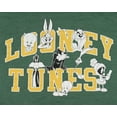 thumbnail image 2 of Warner Bros Men's Looney Tunes That's All Folks Adult Lightweight Hoodie, 2 of 4
