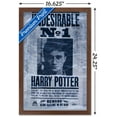 thumbnail image 2 of Le Monde des Sorciers : Harry Potter - Indésirable, 2 of 4