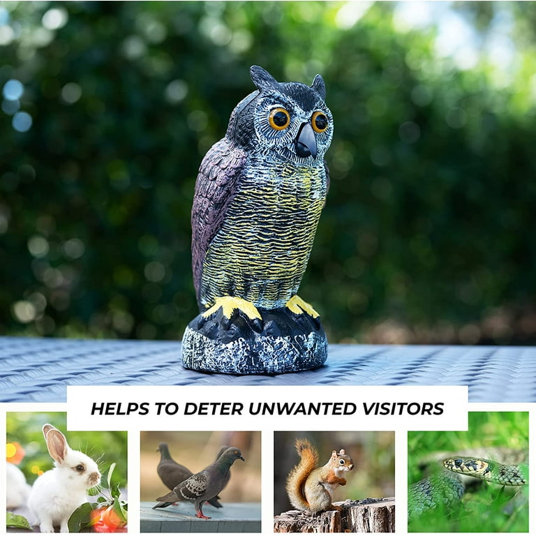 Owls For Gardens To Repel Birds Fasci Garden