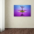 thumbnail image 3 of Trademark Fine Art 'Chalice Colors Full' Canvas Art by Muhammad Berkati, 3 of 3