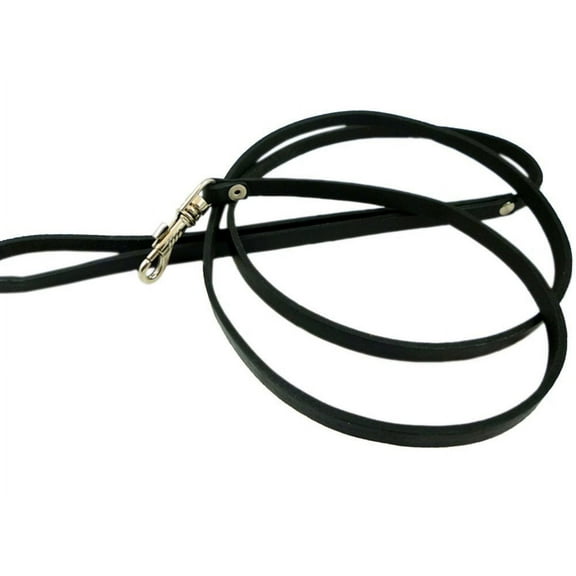 Genuine Leather Classic Dog Leash, 4' Long, 3/8' Wide, Puppies, XSmall Breeds