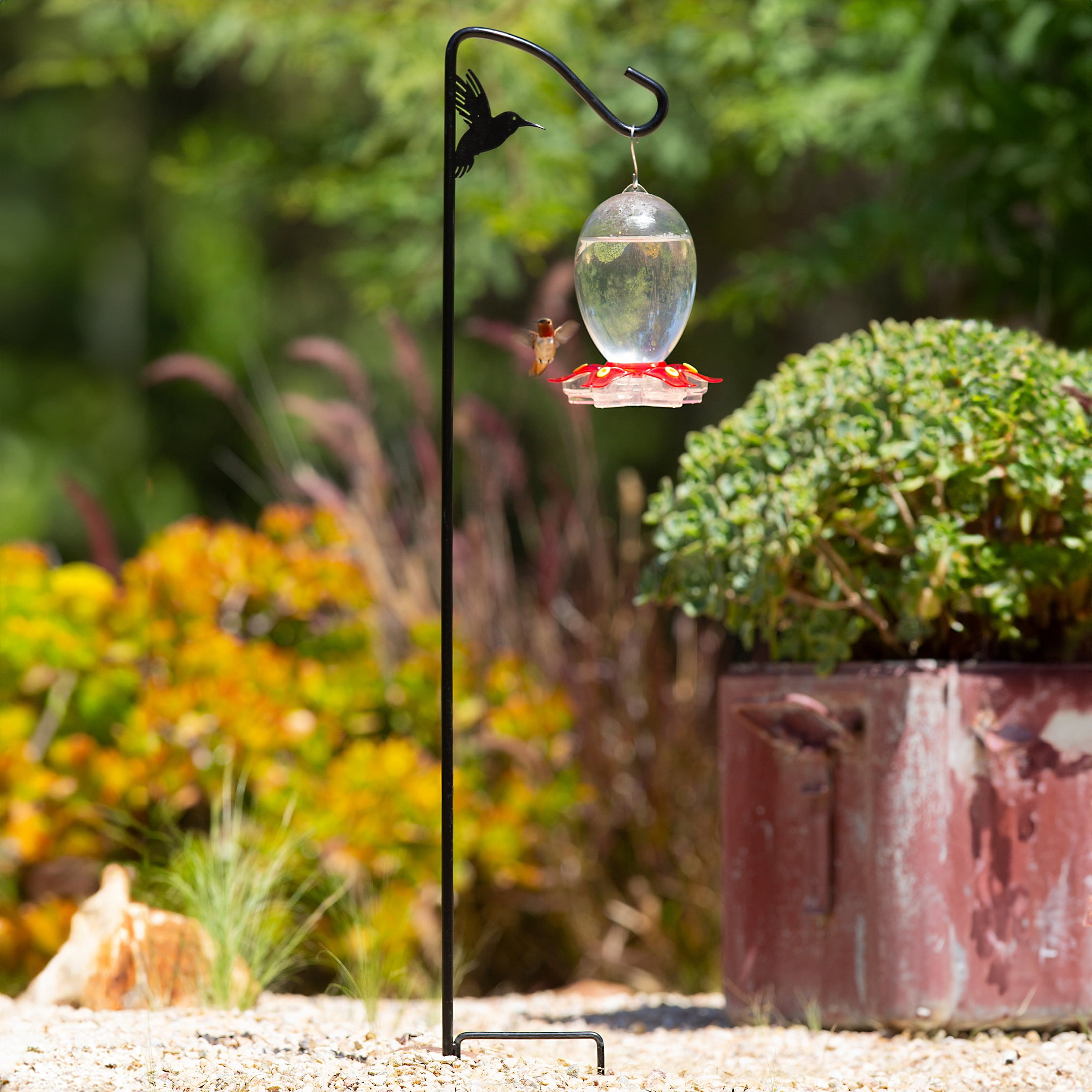 More Birds 42-inch Hummingbird Hook for Bird and Hummingbird Feeders, Stabilizer Leg and Curved Design, Black, 1 Pack