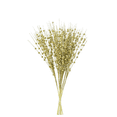 thumbnail image 1 of RV 15 ramas árbol de Navidad corona vid accesorios decorativos DIY polvo dorado brillo simulación baya - oro Rojo Verde, 1 of 4