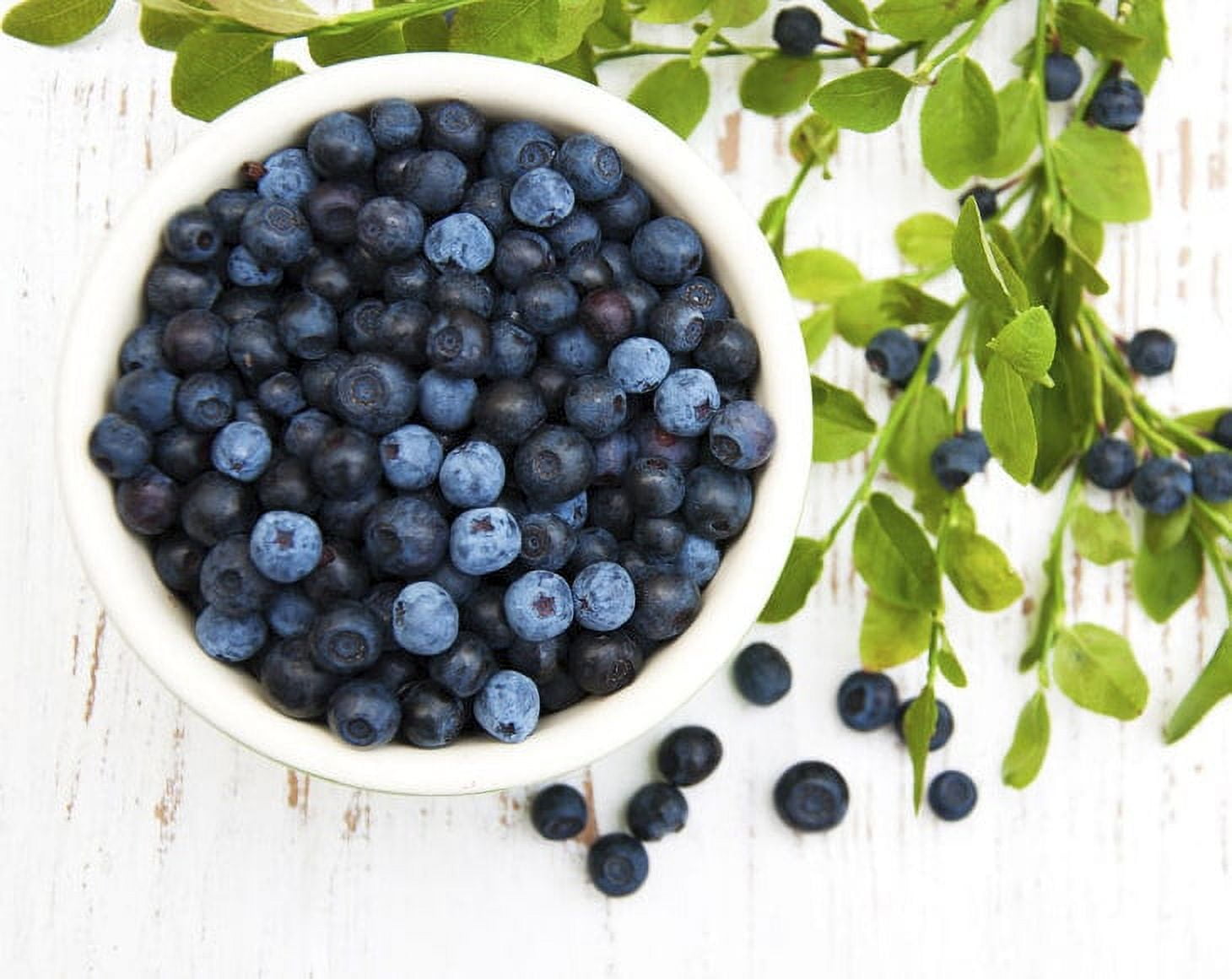 Organic Dried Blueberries, 8 Pounds — Non-GMO, Kosher, Raw, Vegan — by Food to Live