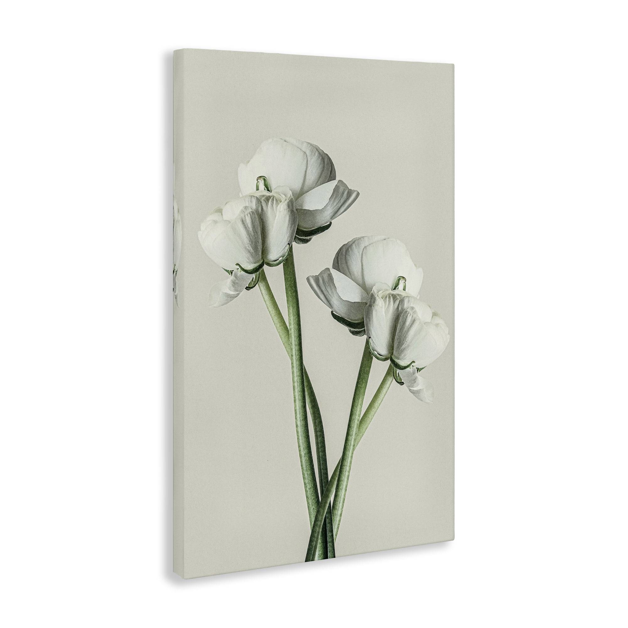 Stupell Industries White Flower Bundle Botanical & Floral Photography Gallery Wrapped Canvas Art Print Wall Art, 20 x 30