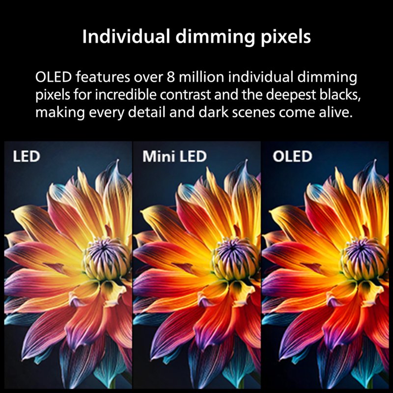 Philips 65" Class OLED 4K Ultra HD (2160p) Roku Smart TV (65OLED974/F7) accessories and compatibility