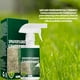 thumbnail image 5 of Mom's Best Spray colorante reverdecedor instantáneo, marcador para césped Renew, 100 % natural, 60 ml/2 onzas, 5 of 5