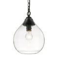 thumbnail image 1 of Golden Lighting Ariella Petite Suspension 1-Lumière en Noir Mat, 1 of 6