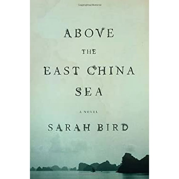 Above the East China Sea : A Novel 9780385350112 Used / Pre-owned