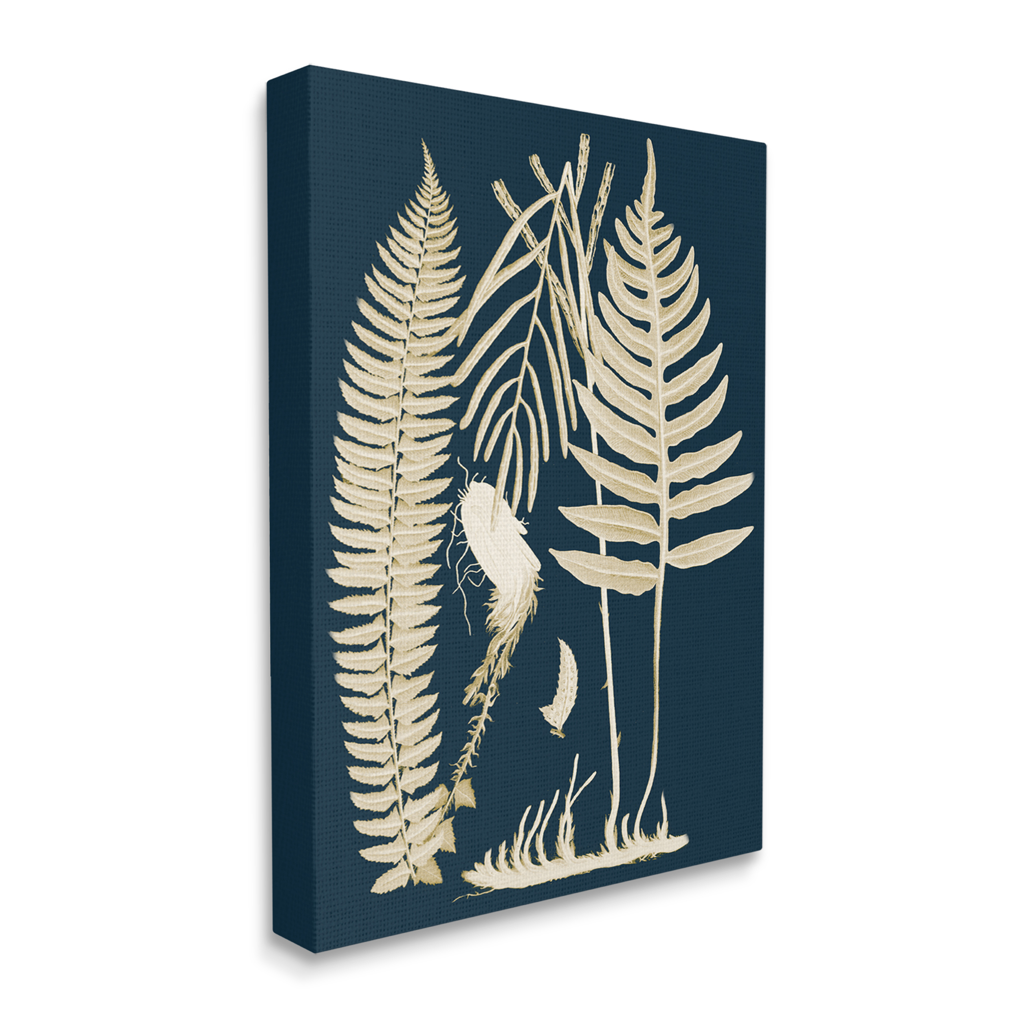 Stupell Industries Layered Ferns Botanical Roots Contemporary Abstract Design Graphic Art Gallery Wrapped Canvas Print Wall Art, Design by Piddix