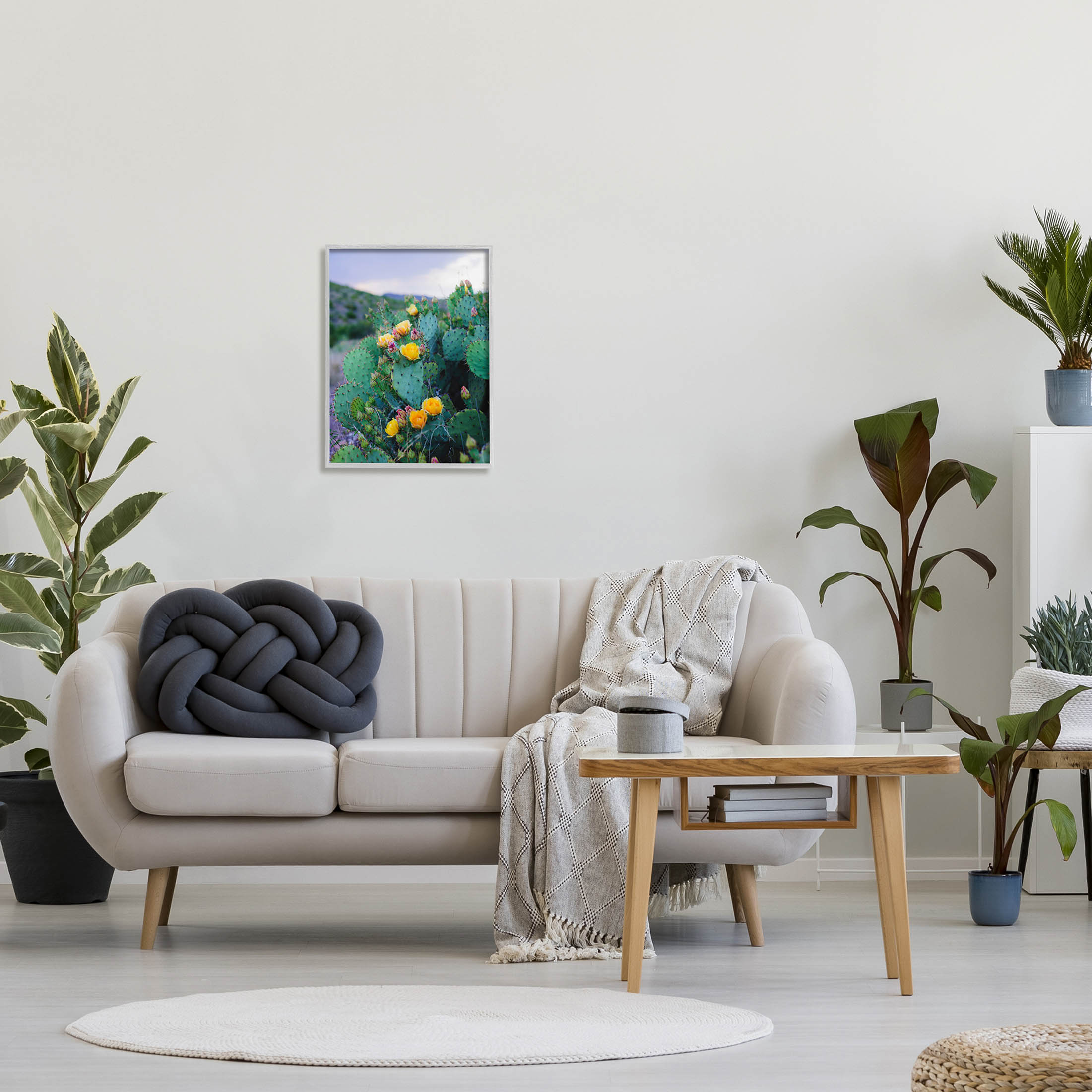 Stupell Industries Vivid Cactus Blossoms Photograph Gray Framed Art Print Wall Art, Design by Sonja Quintero