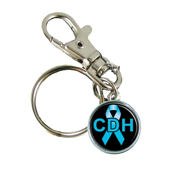 Congenital Diphragmatic Hernia Awareness Keychain Support Silver Plated Jewelry Key Chain