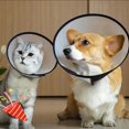 thumbnail image 5 of Collar De Cono De Gato, Collar De Elizabeth Para Mascotas,Ajustables, Transpirable-21-24cm, 5 of 5