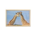 thumbnail image 1 of Giraffe Wall Art with Frame, Photo of Wild Animal Couple Clouds in Blurred Photography Effect, Printed Fabric Poster for Bathroom Living Room, 35" x 23", Pale Sky Blue Multicolor, by Ambesonne, 1 of 2