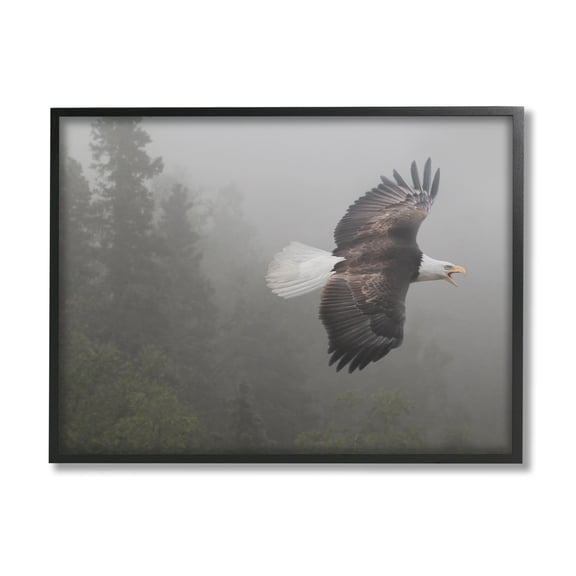 Stupell Industries Soaring Eagle in Nature Animals & Insects Photography Black Framed Art Print Wall Art, 14 x 11